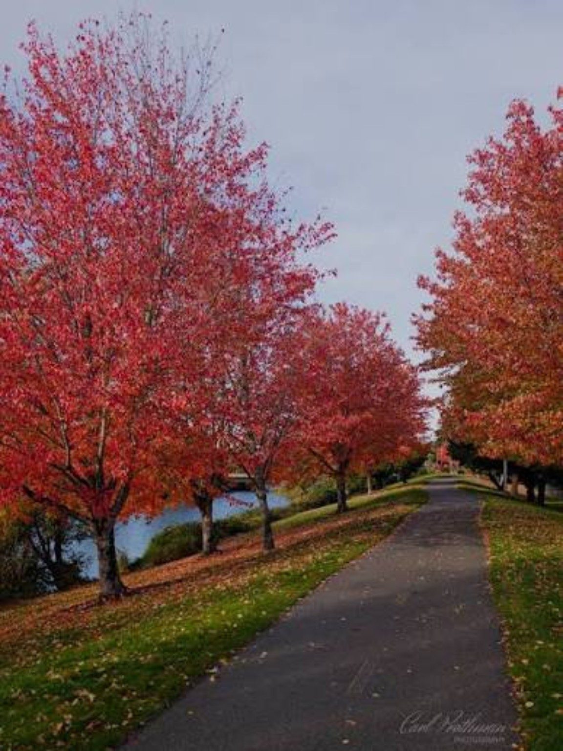 Pacific Northwest fall scenery