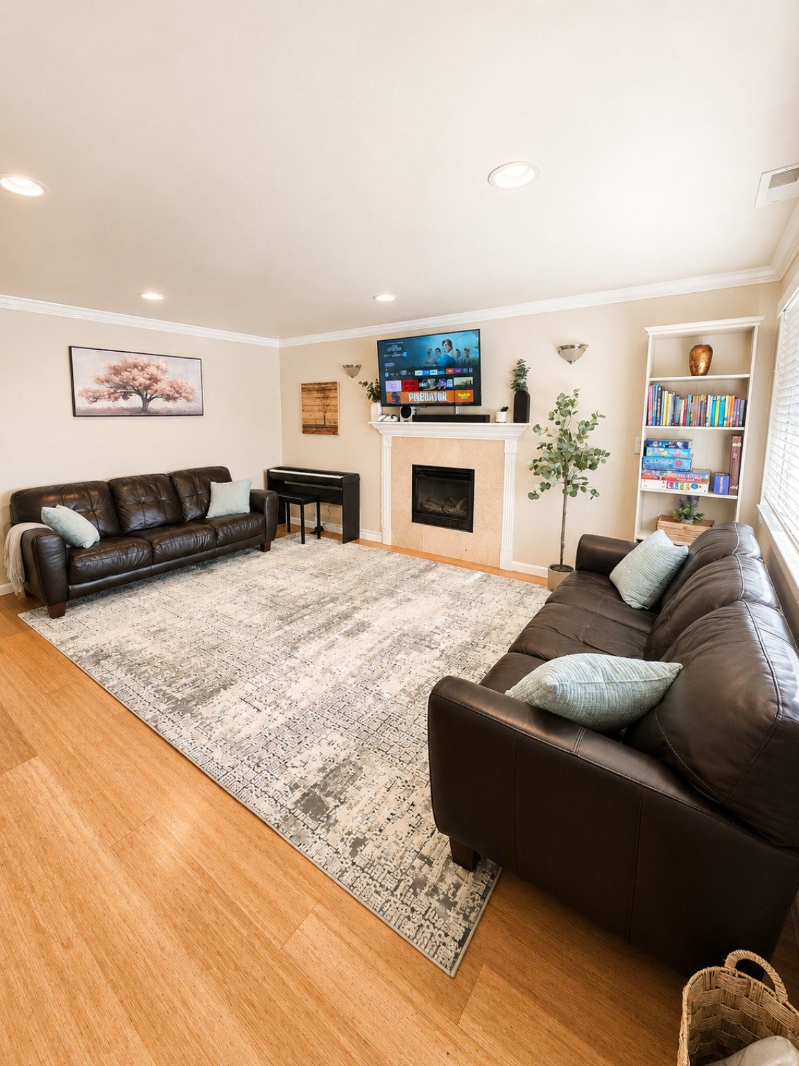 Living room with two sofas